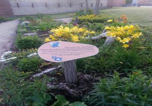 Ehrenamtliche Betreuung von einem Kräutergarten